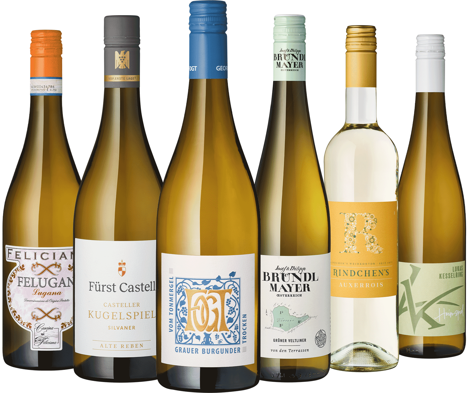 6er Weißwein Entdecker April 2026