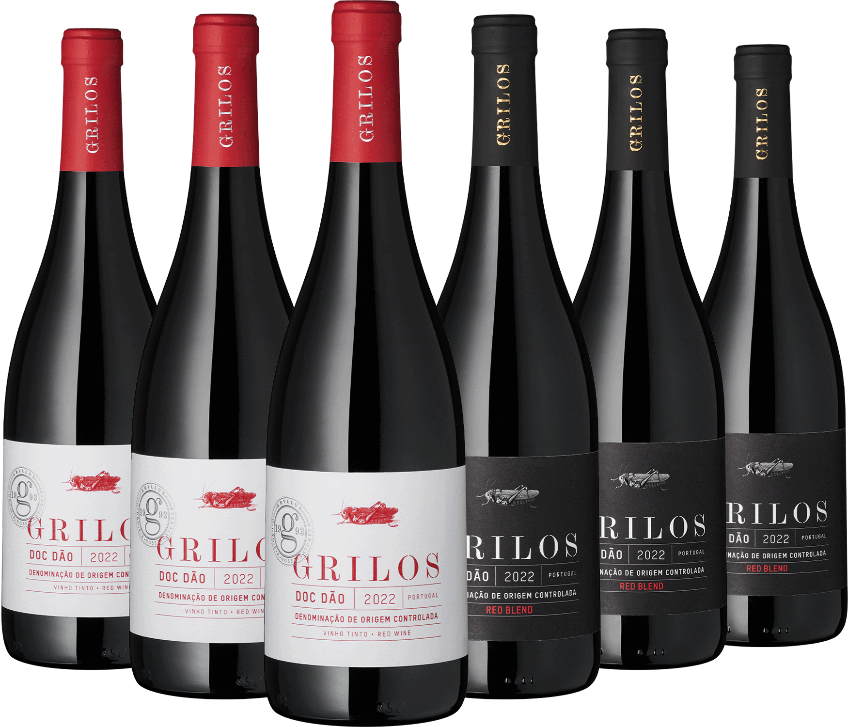 6er Paket "Grilos"