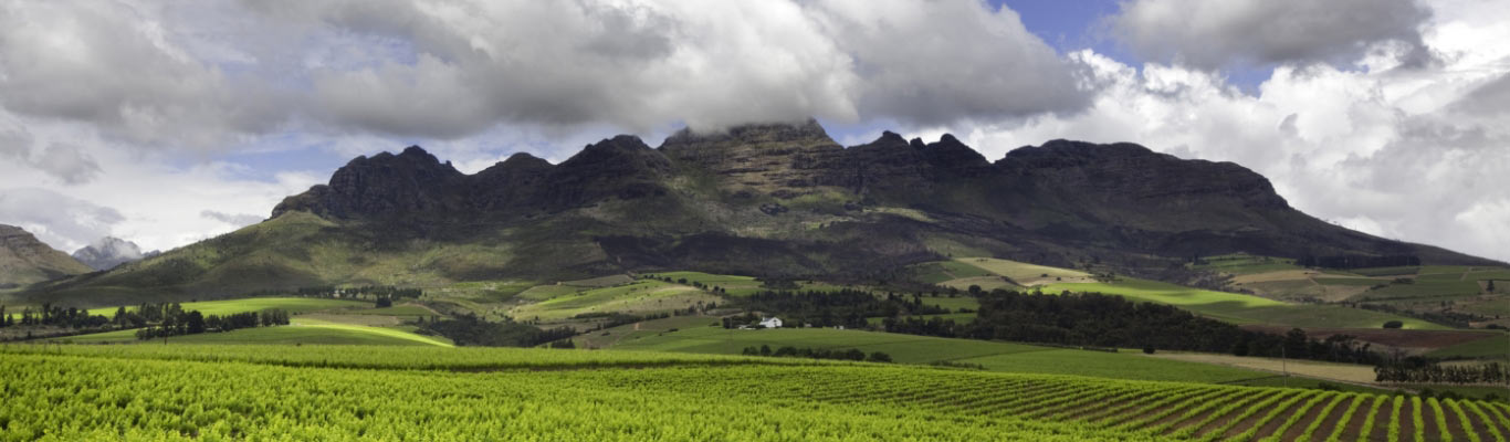Kategorie Stellenbosch Kategorie Stellenbosch