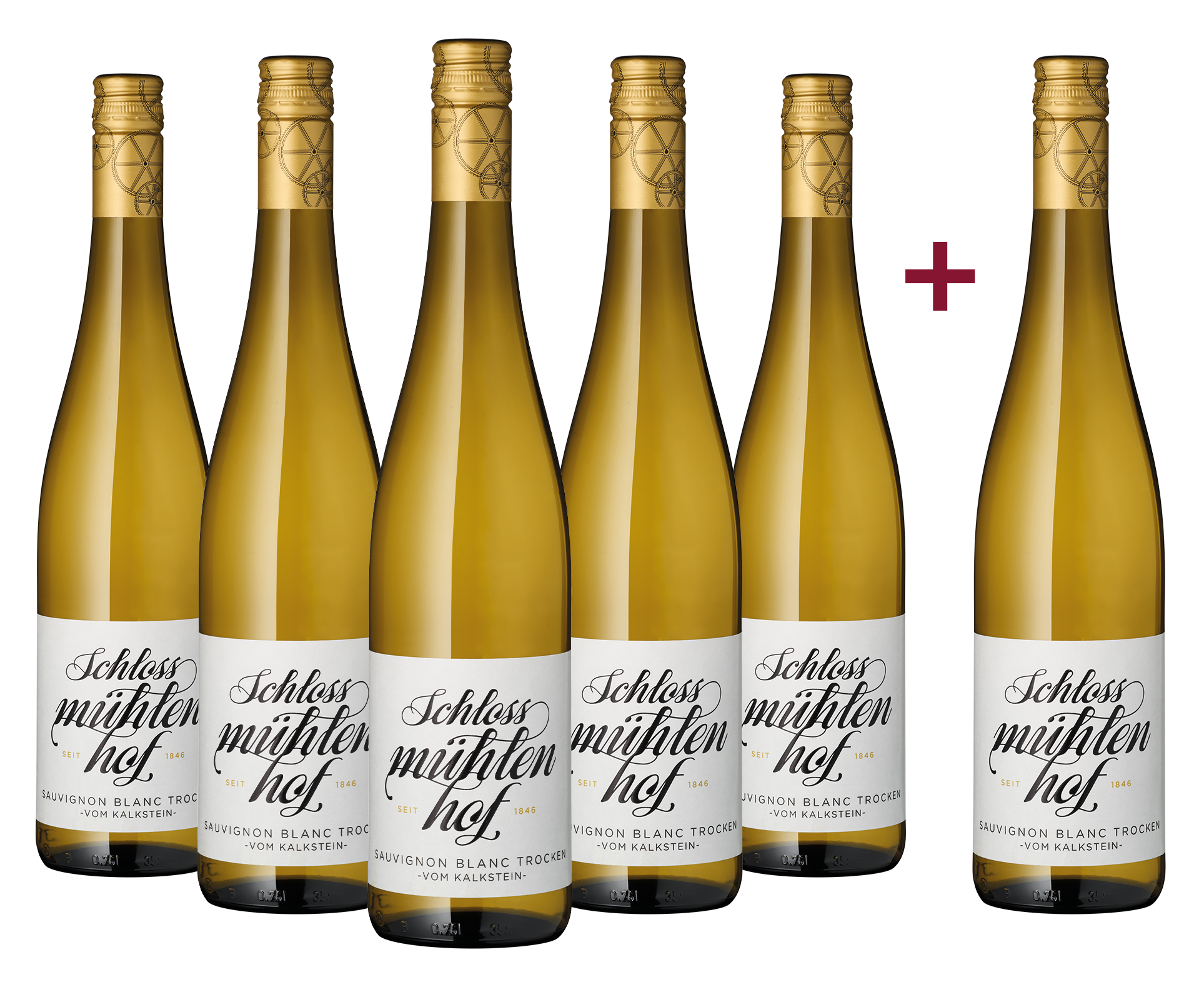 5+1 Paket "Vom Kalkstein" Sauvignon Blanc
