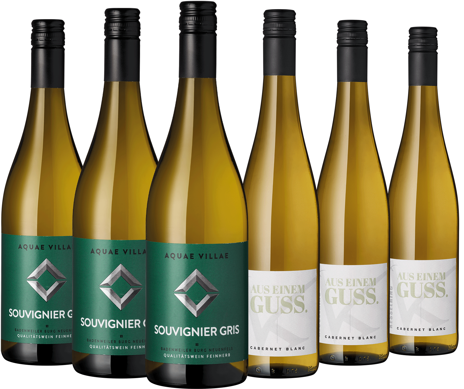 6er Paket Zukunftsreben