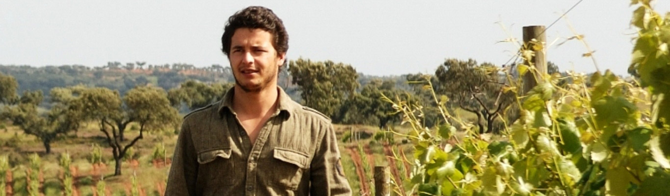 Weingut Relvas Weingut Relvas