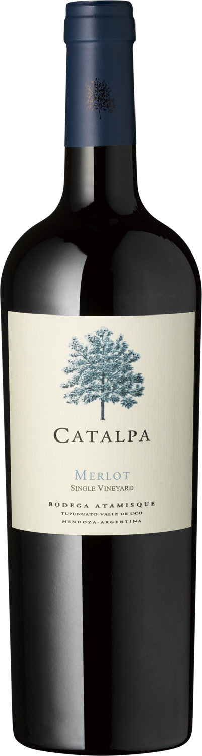 "Catalpa" Merlot