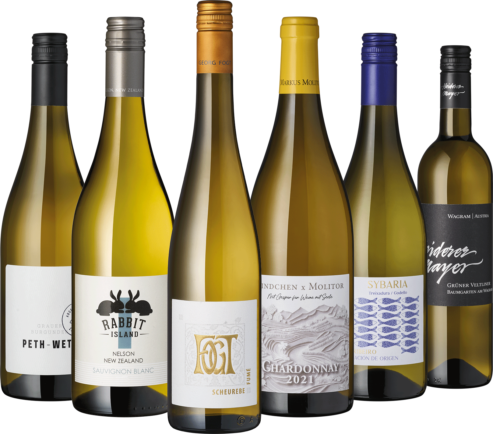 6er Weißwein Entdecker November 2026