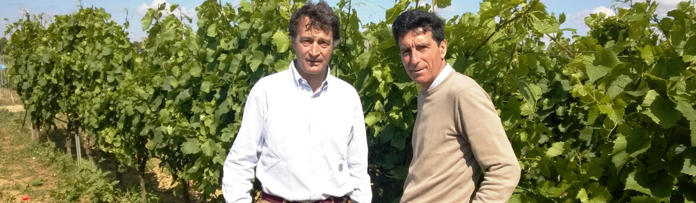 Weingut Vigneti Reale Weingut Vigneti Reale