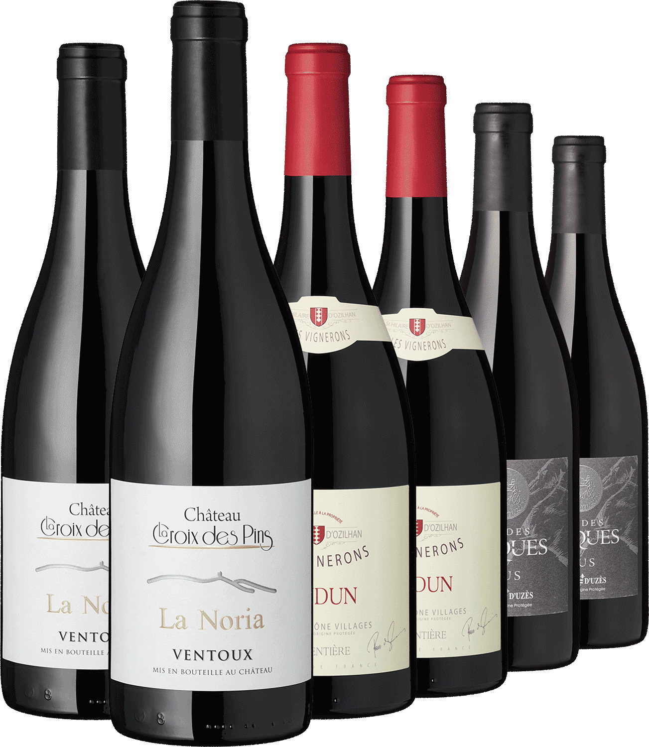 6er Paket Rhône