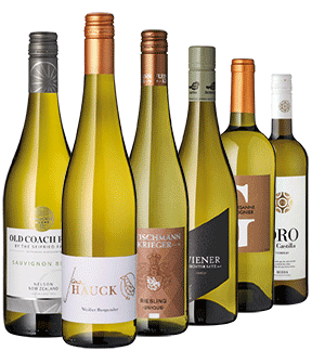6er Paket "Winzerinnen Weine"