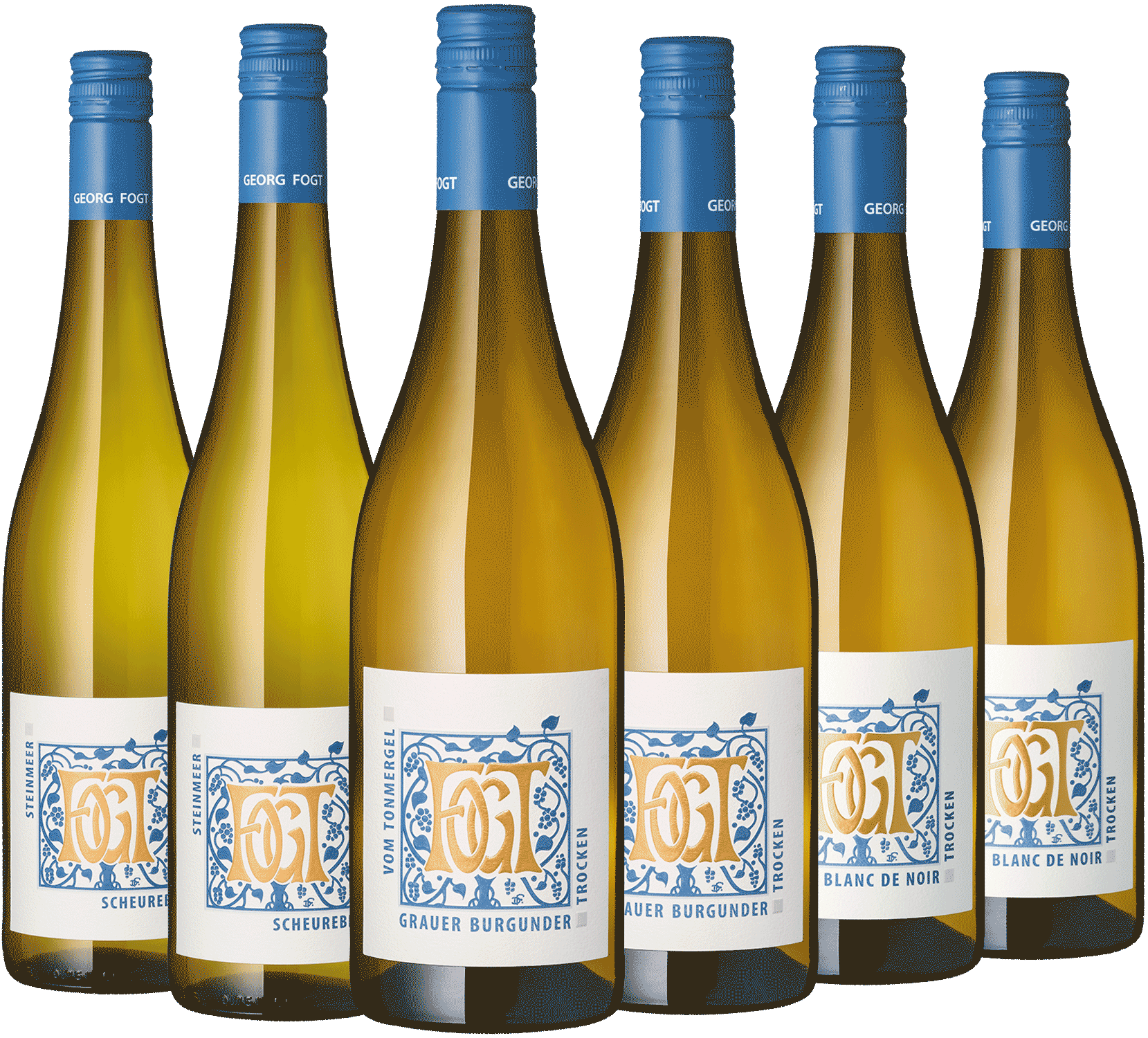 6er Paket Georg Fogt