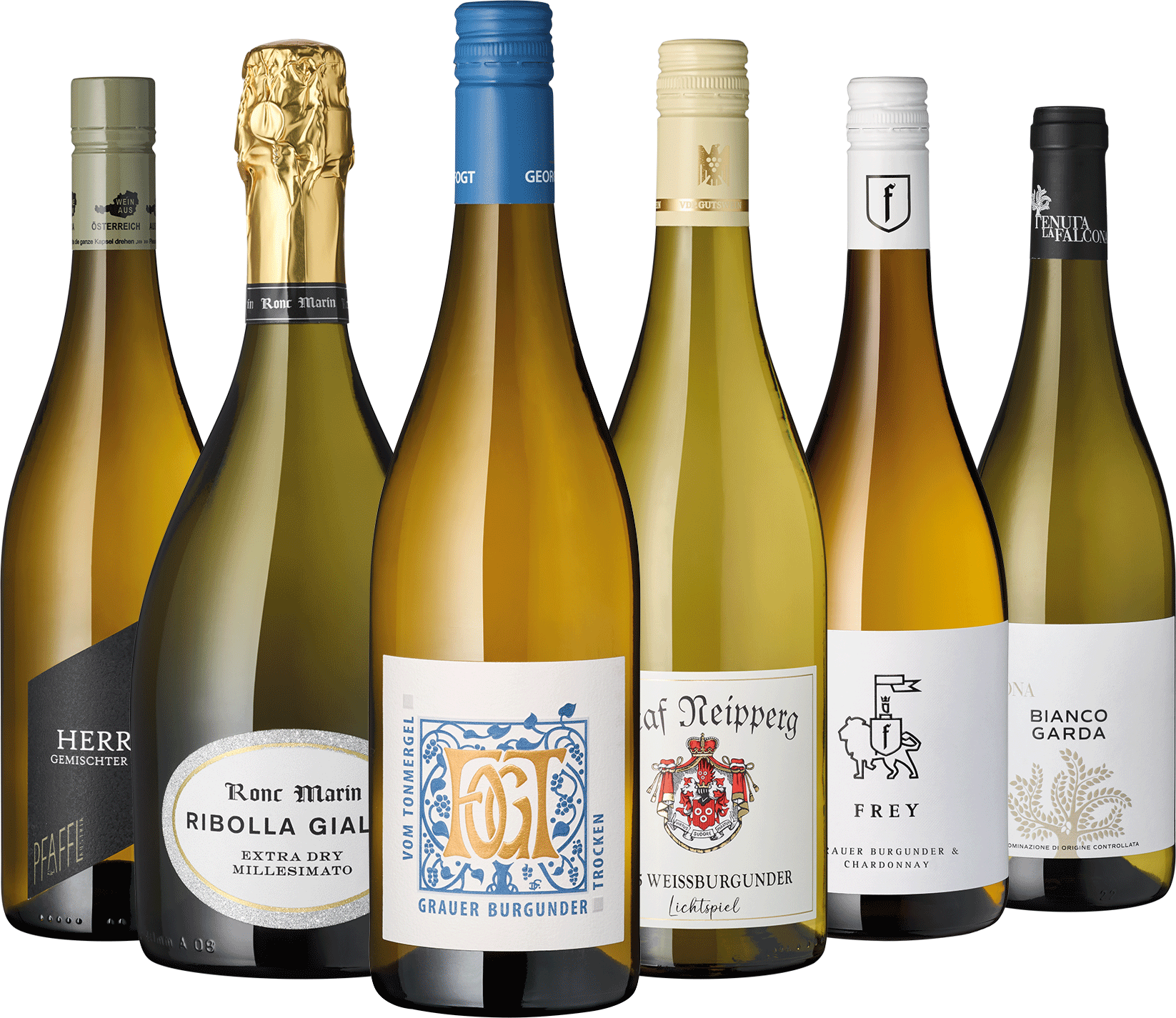 6er Weißwein Entdecker Oktober 2026