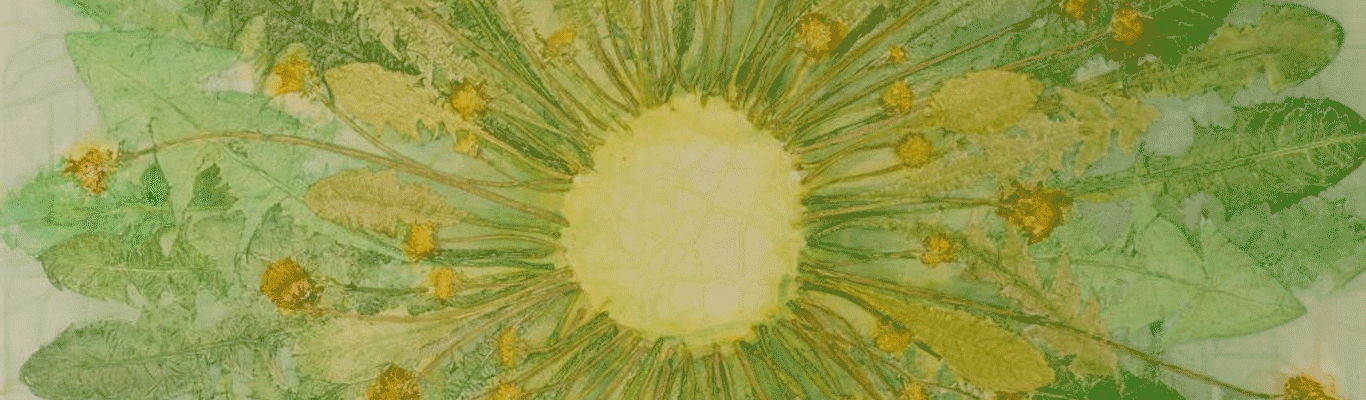 Kunst Vernissage im Kontor Schnelsen