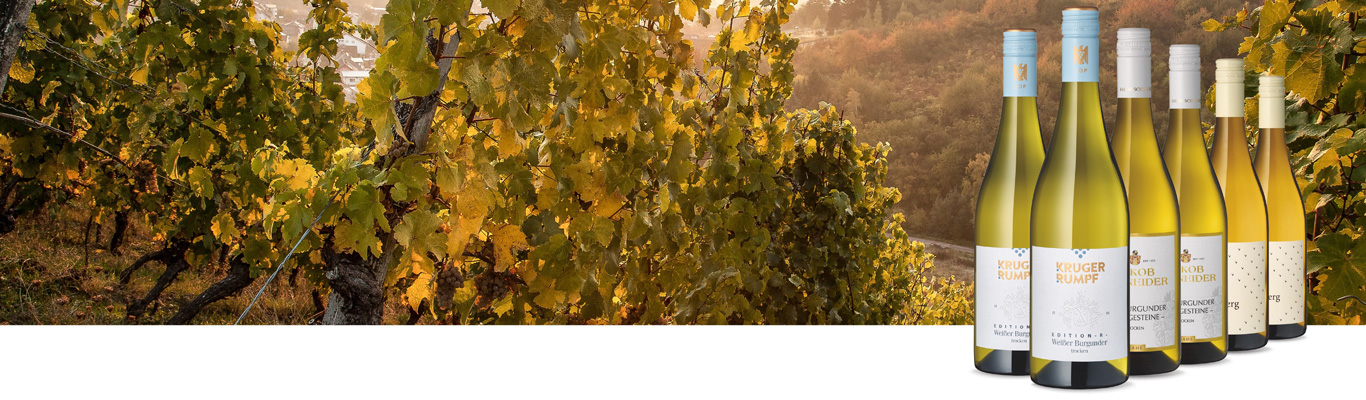 Das Upgrade von der Nahe Weinreben mit Weißweinen im Hintergrund