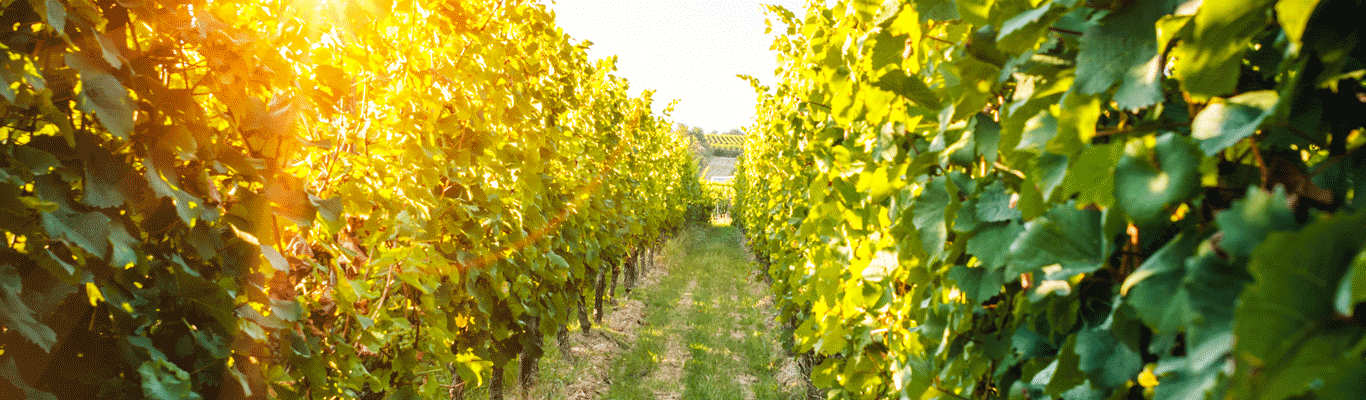 Kategorie Polen Kategorie Polen