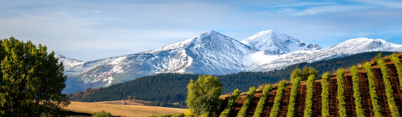 Kategorie Rioja Kategorie Rioja