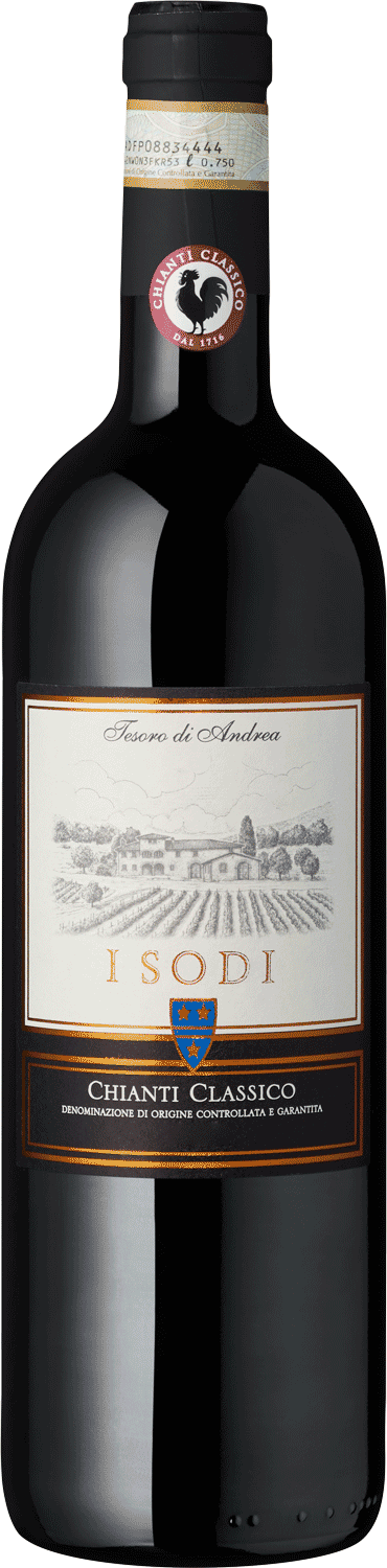 "Tesoro di Andrea" Chianti Classico Chianti Classico Rotwein, Tesoro di Andrea, Isodi Flasche