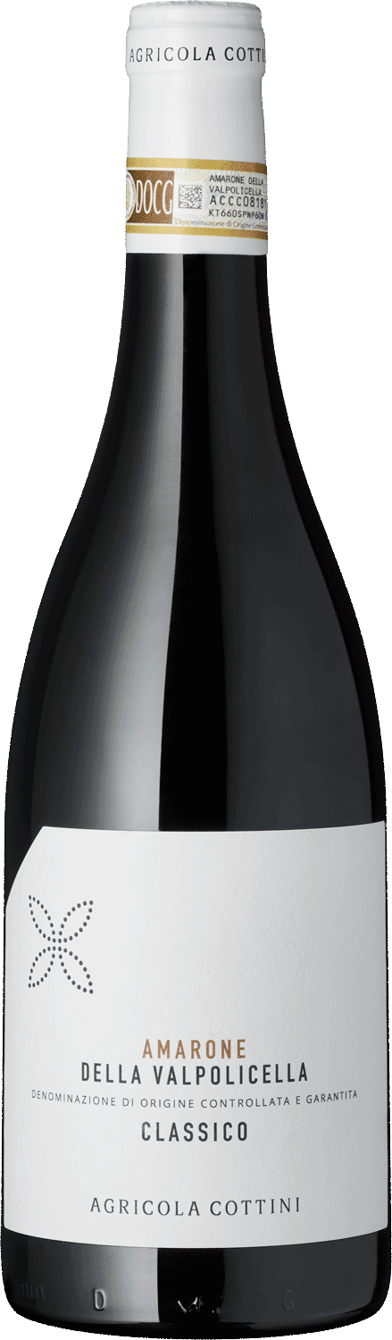 Amarone della Valpolicella Classico Amarone della Valpolicella Wein von Agricola Cottini
