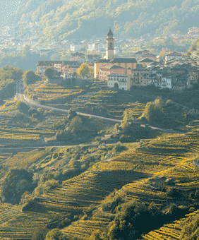 Kategorie Trentino