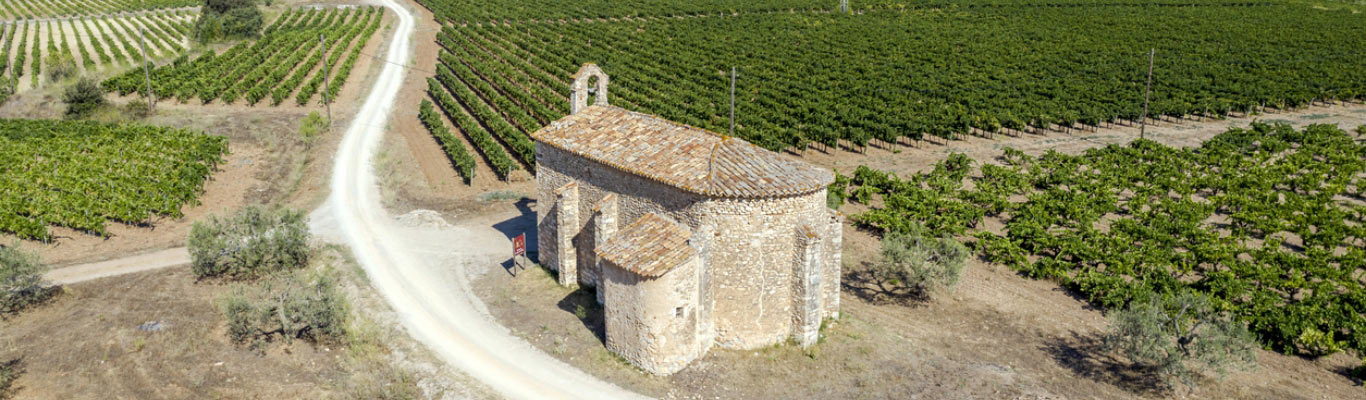 Kategorie Penedes Kategorie Penedes