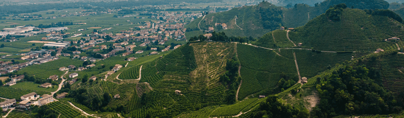 Kategorie Prosecco
