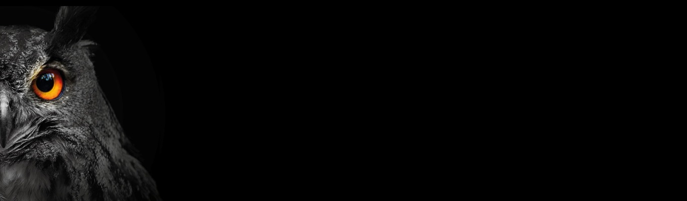 Bild von einer Eule & orange Schrift