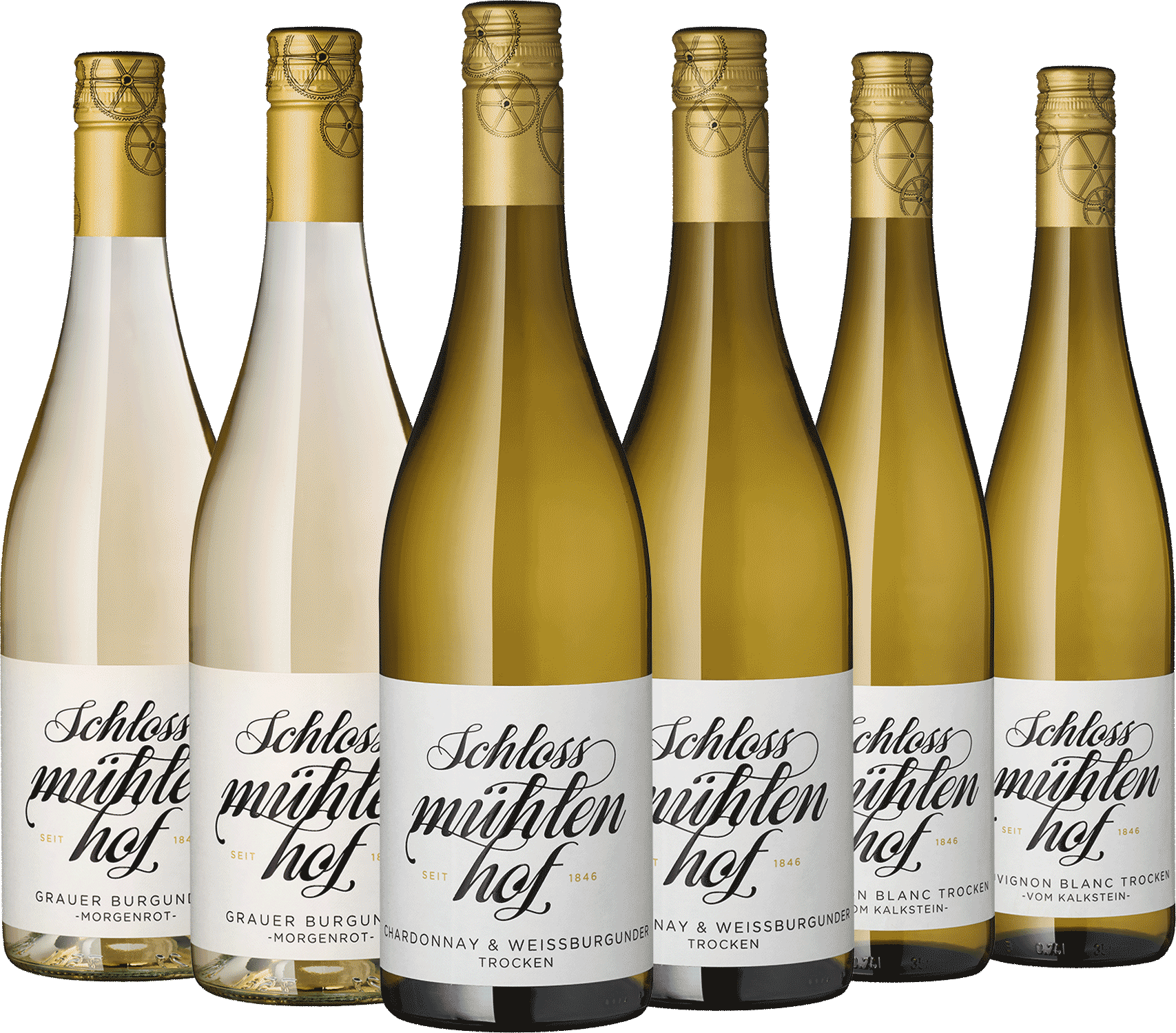 6er Paket "Trilogie vom Wartberg"