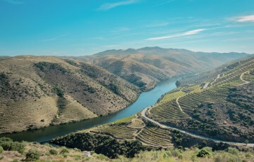 Weinberge der Vinho Verde
