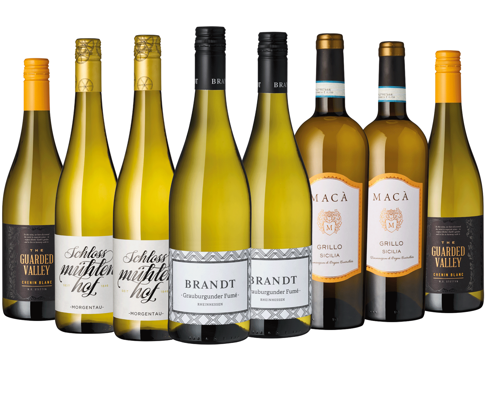 8er Paket "Master of Klarschiff" Weiß