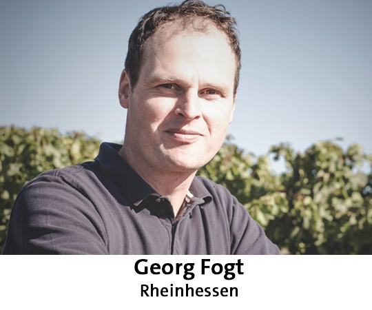 Winzerfrühling Winzer Fogt Winzerfrühling Winzer Fogt