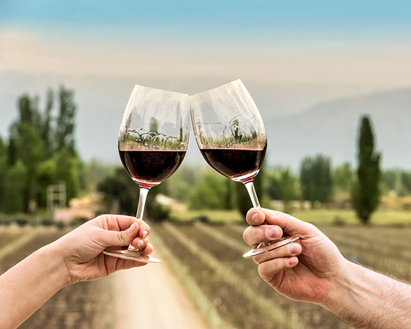 Prost mit Rotwein, Weingut im Hintergrund
