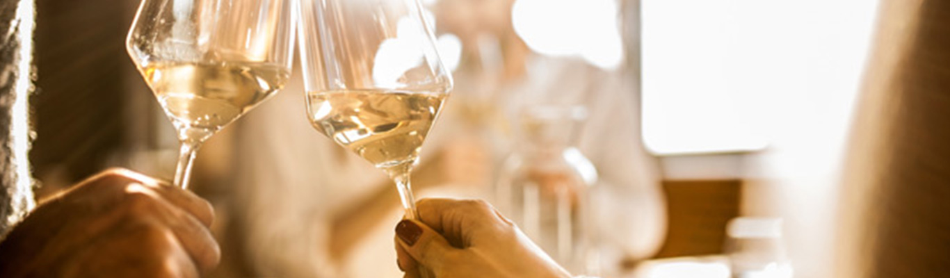 Seminar für Einsteiger Weinmesse Vinothek am Grauen Esel