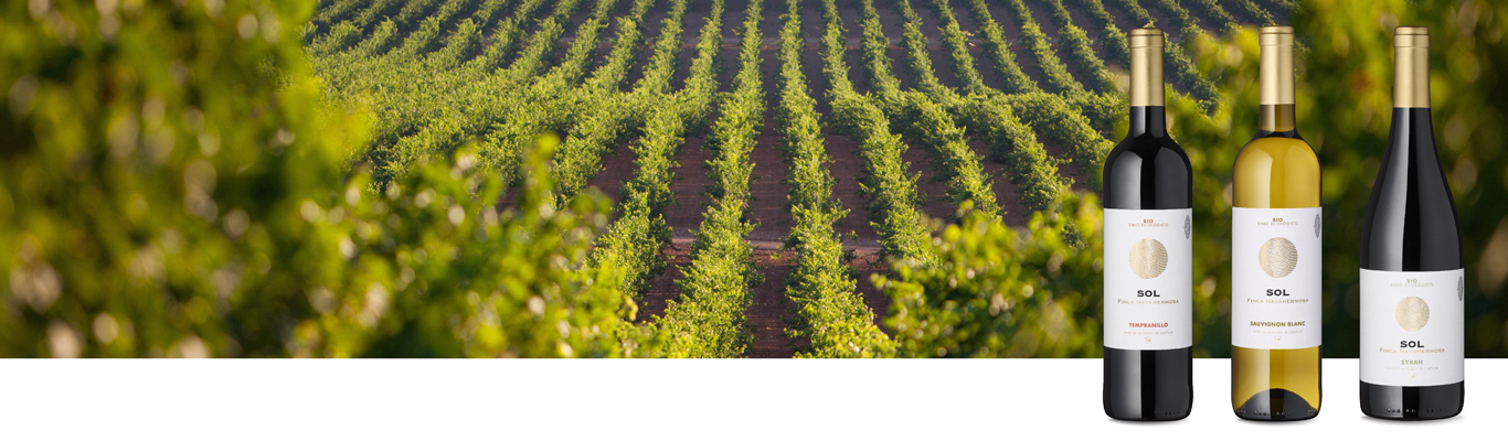 Der Mann von der Hochebene Wein, Weinberg und Weinflaschen im Sonnenlicht