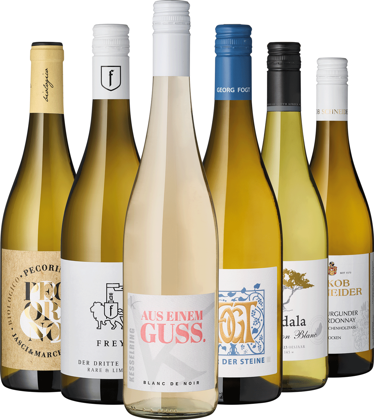 6er Weißwein Entdecker Mai 2025 Neu