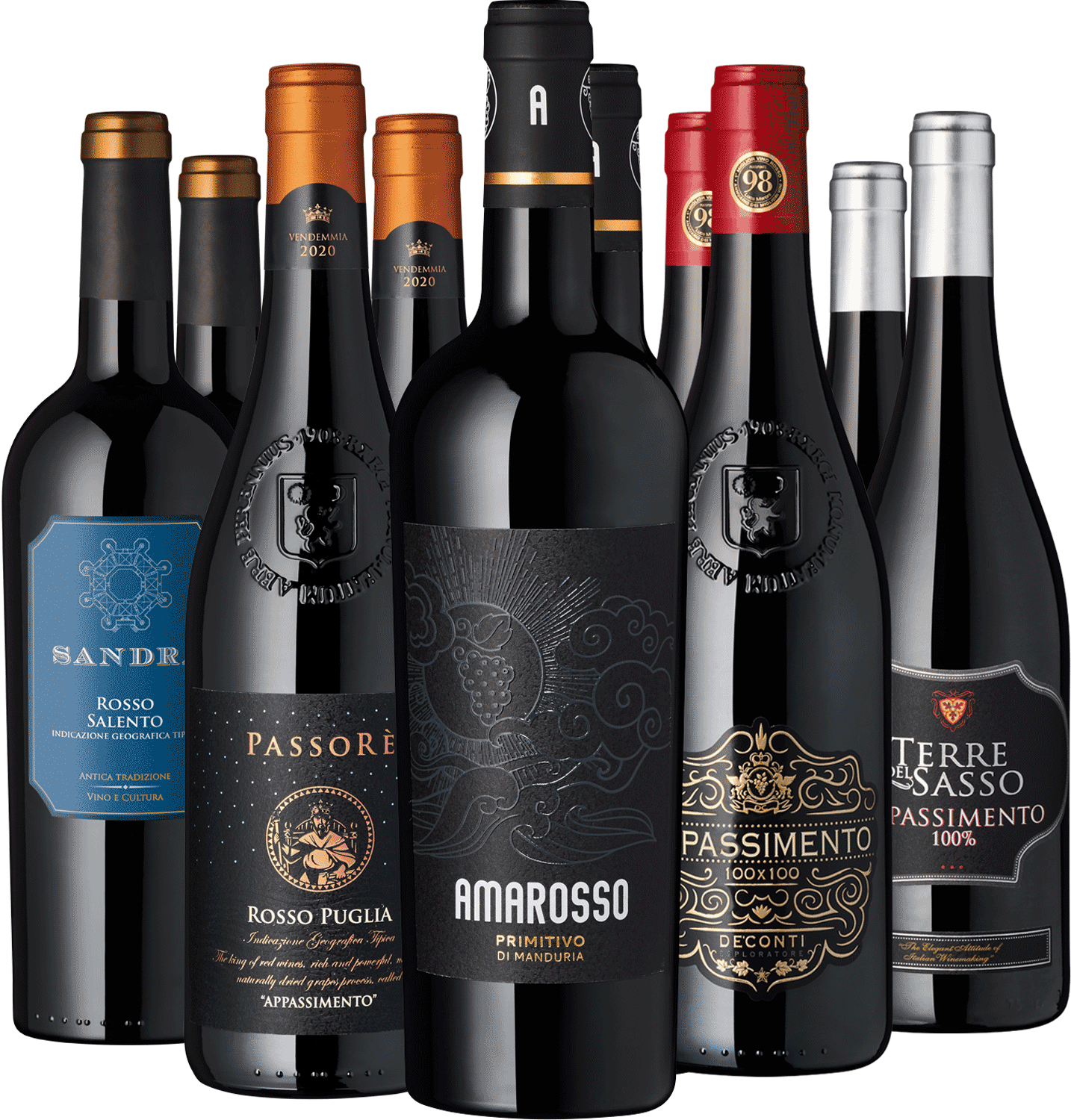 10er Apulien Paket Verschiedene Rotweine im Online-Shop, Weinflaschen-Ensemble.