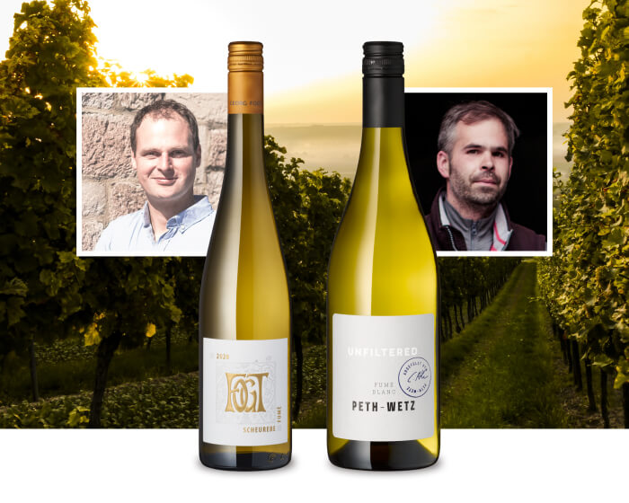 Weinflaschen und Winzerporträts im Weinberg