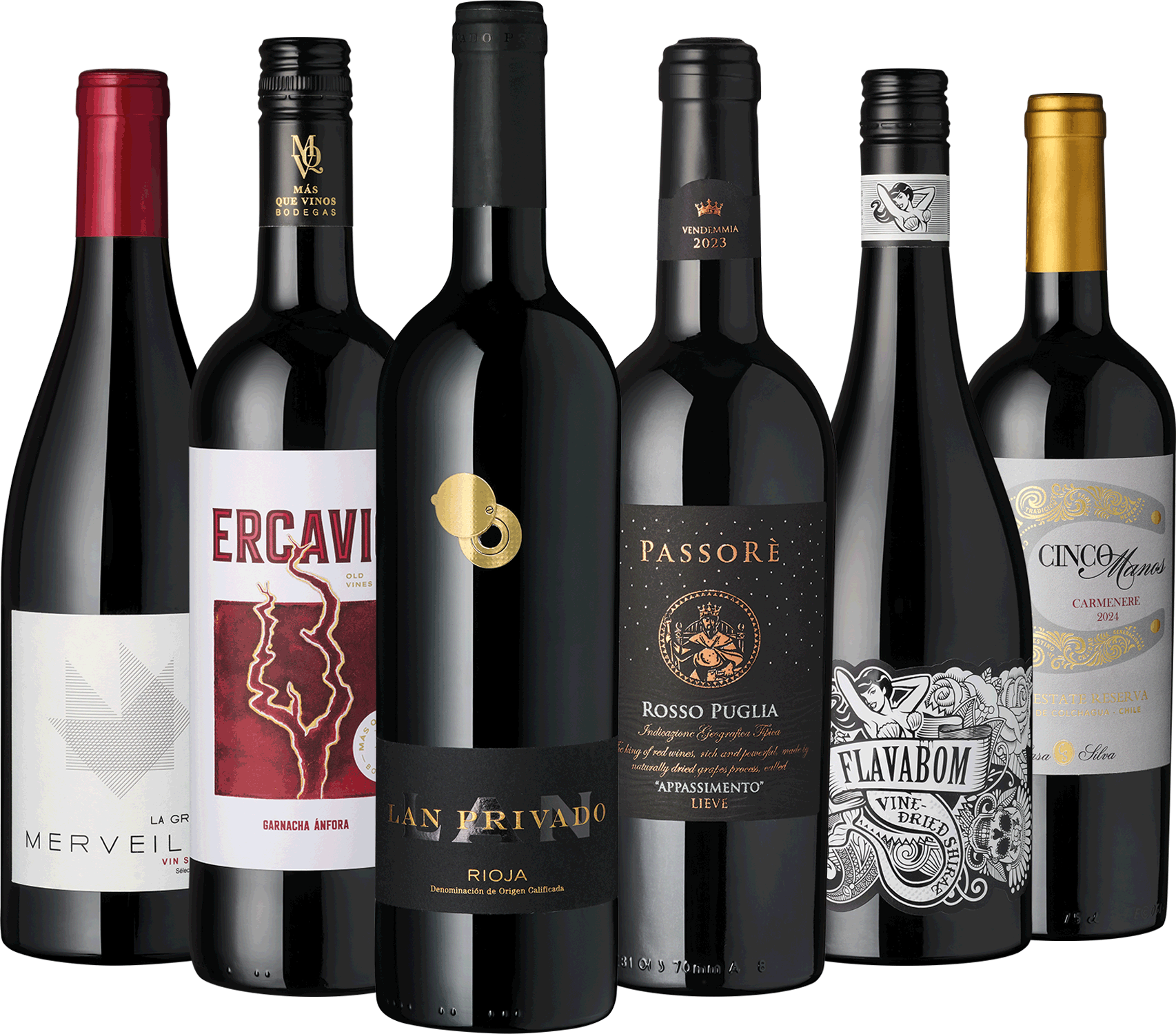 6er Rotwein Entdecker März 2026