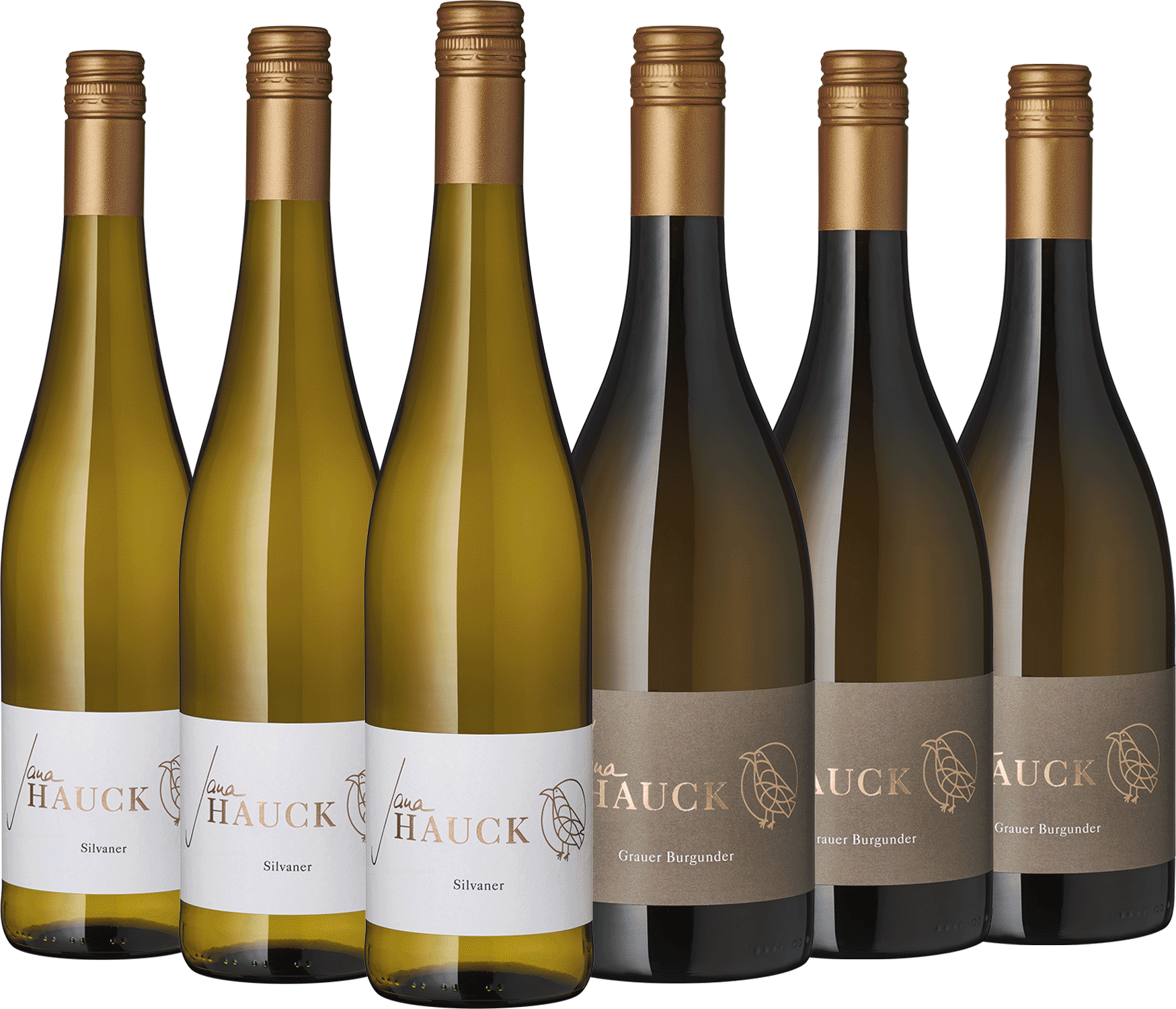 6er Paket Jana Hauck