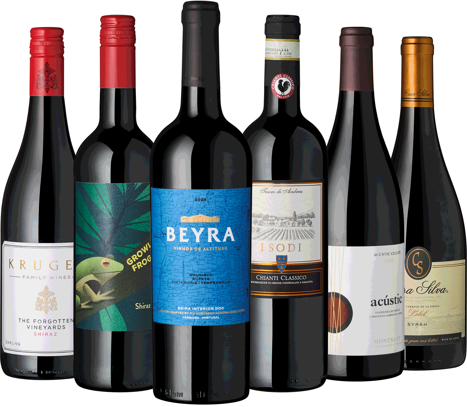 6er Rotwein Entdecker August 2026 II