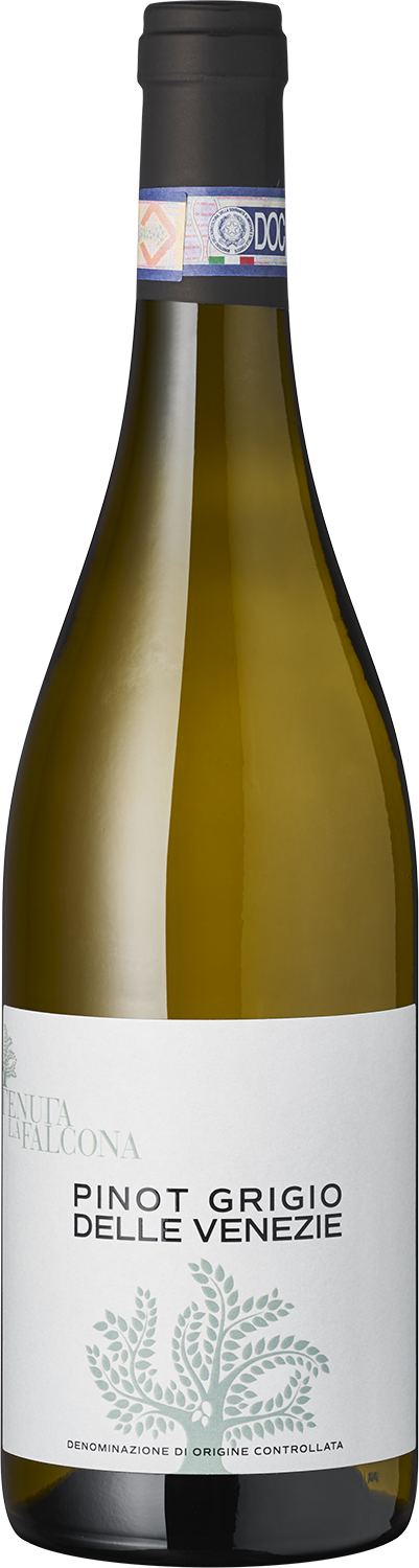 Pinot Grigio DOC, Tenuta la Falcona