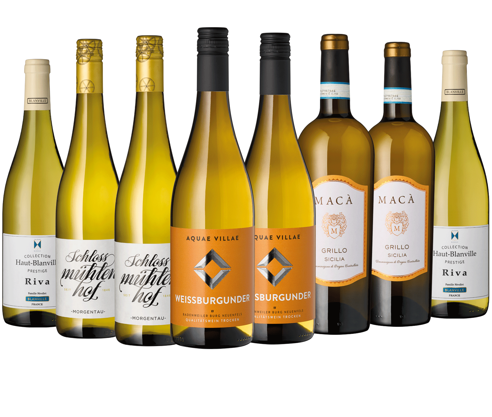 8er Paket "Masters of Klarschiff" Weiß