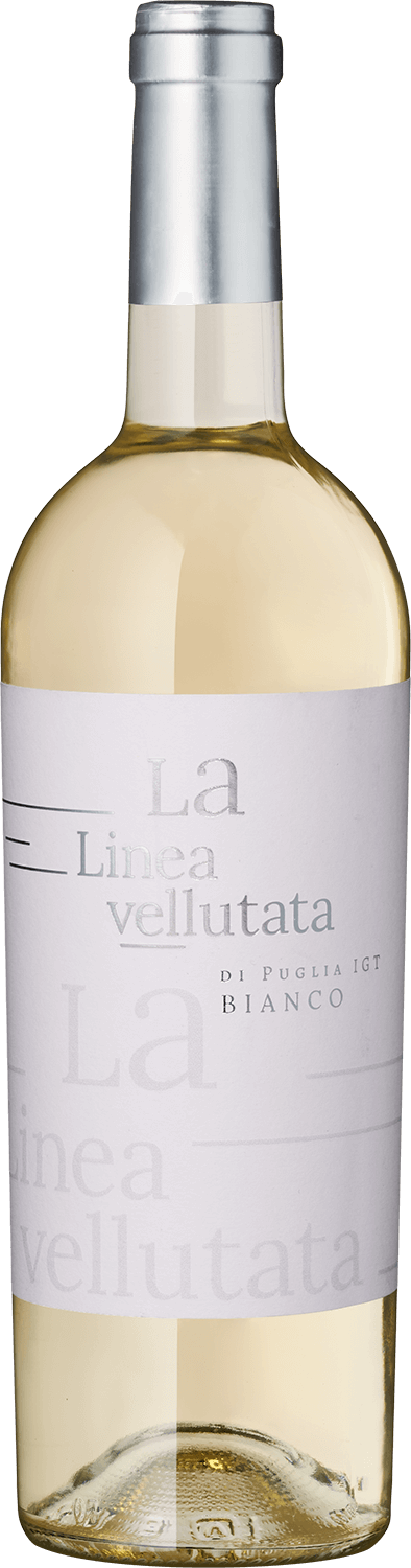 "La Linea Vellutata" Puglia Bianco