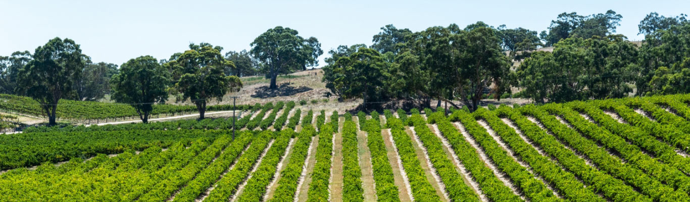 Kategorie Süd Australien Kategorie Süd Australien