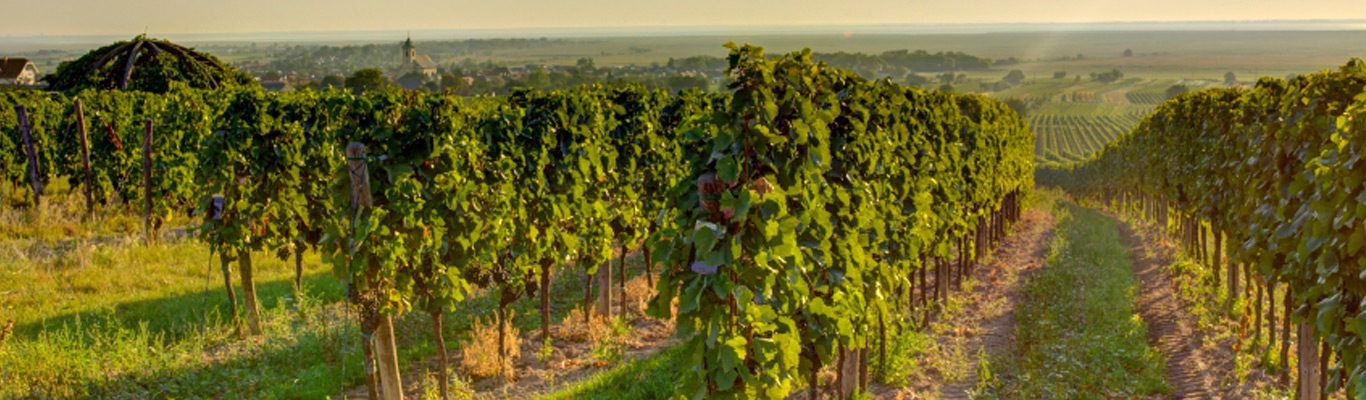 Kategorie Burgenland Kategorie Burgenland