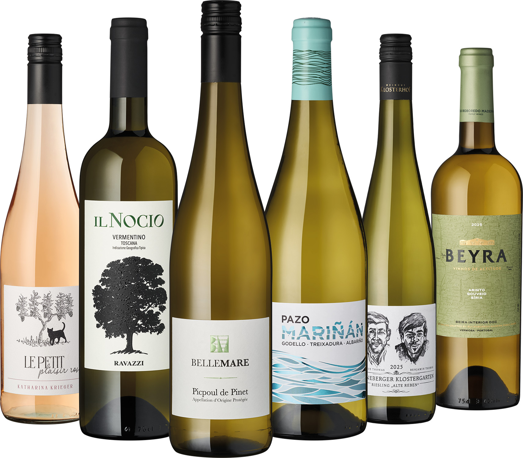 6er Weißwein Entdecker Juli 2026