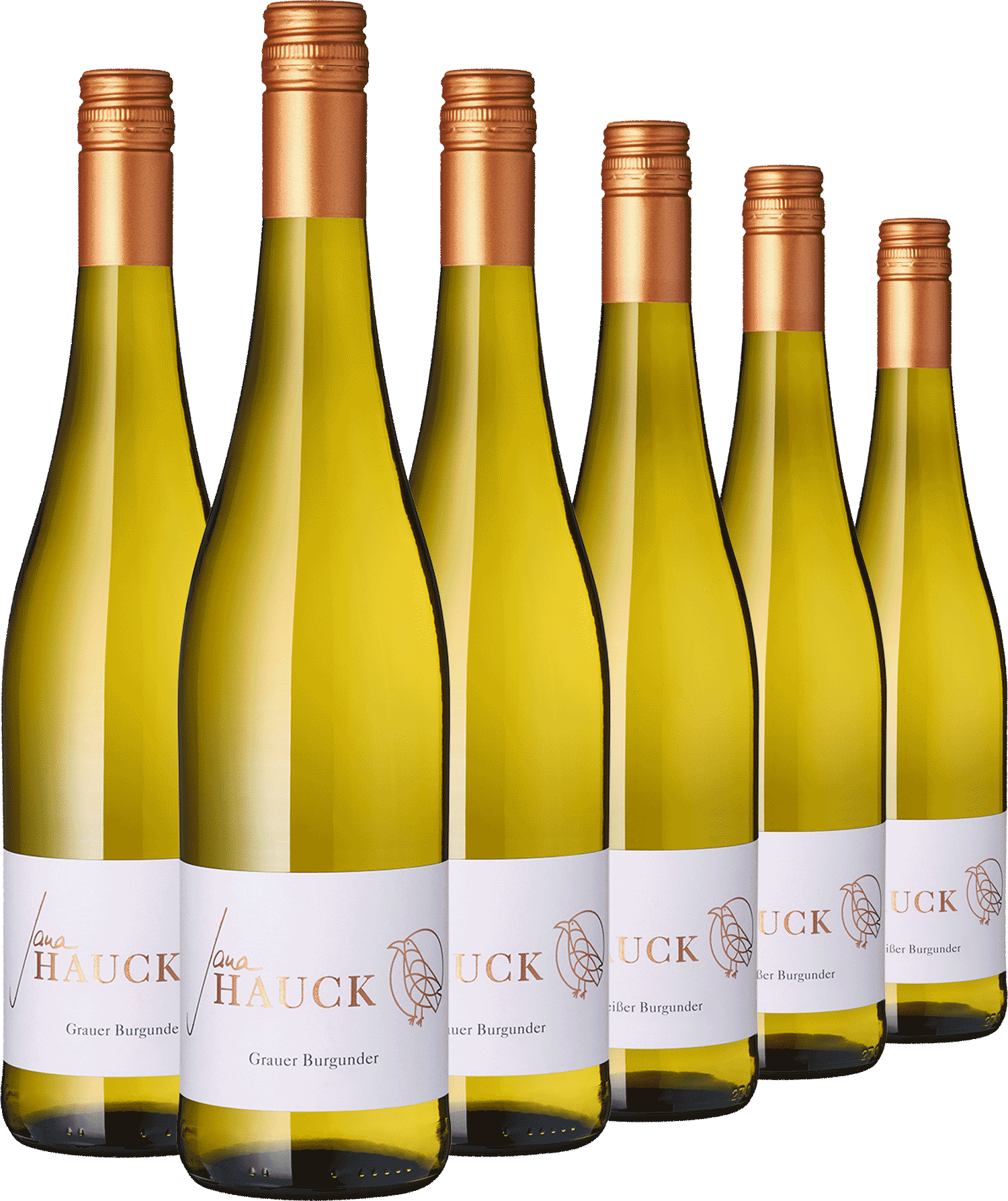 6er Paket "Jana Hauck"