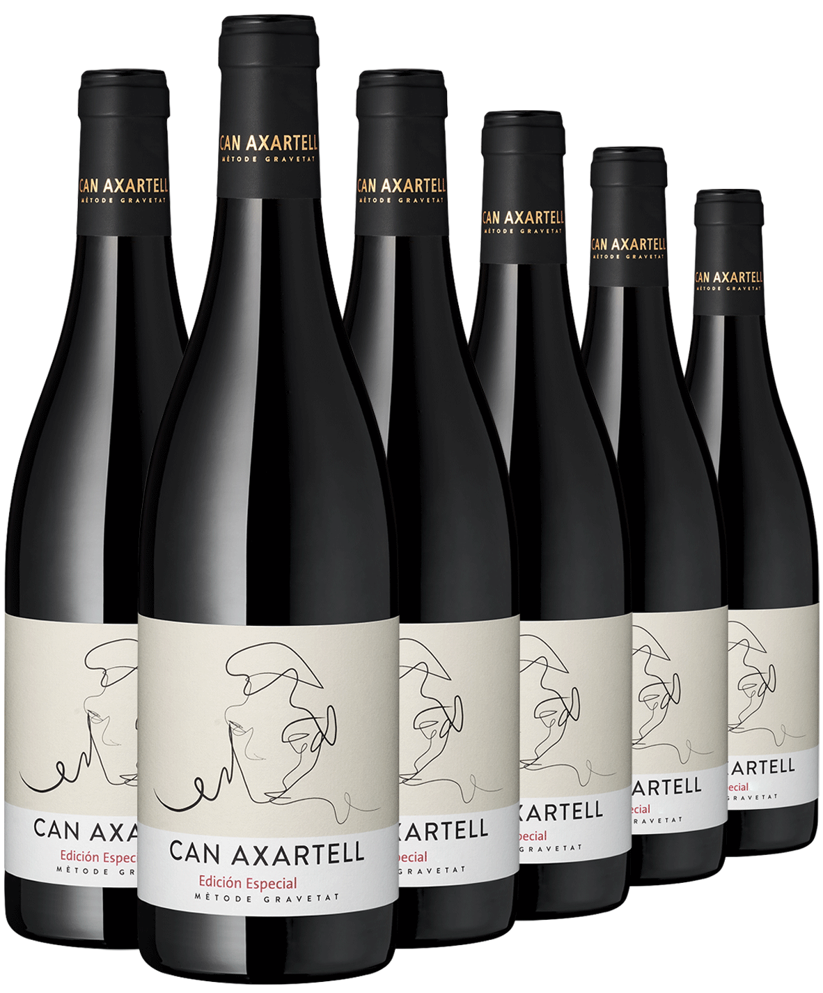 6er Paket Can Axartell