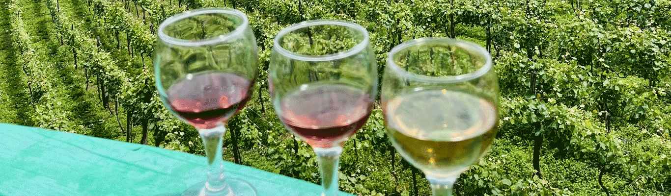 Seminar georgische Weine