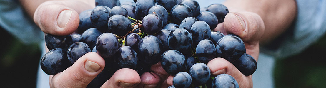 Bag-in-Box: Der Weinschlauch ist ein Hightech-Gewand