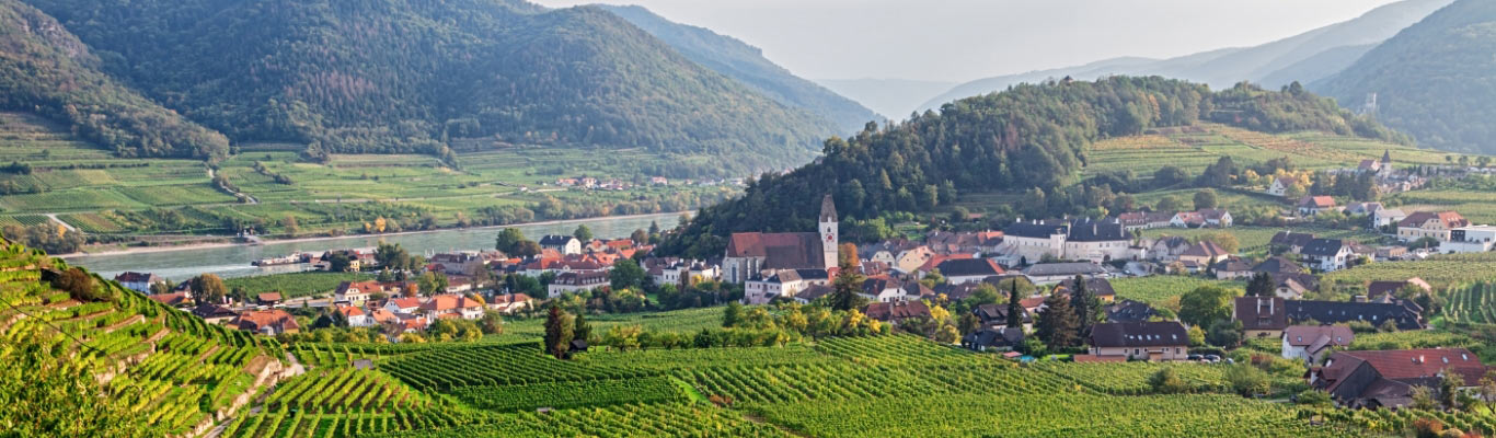 Kategorie Weinviertel Kategorie Weinviertel