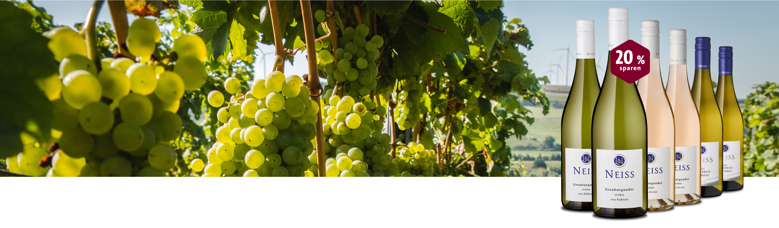 25 Jahre Axel Neiss x Rindchen Wein-Angebot im Weinberg: Grauburgunder und Weißwein.