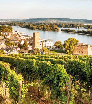 Vinorell Masterclass Deutschland 2025 