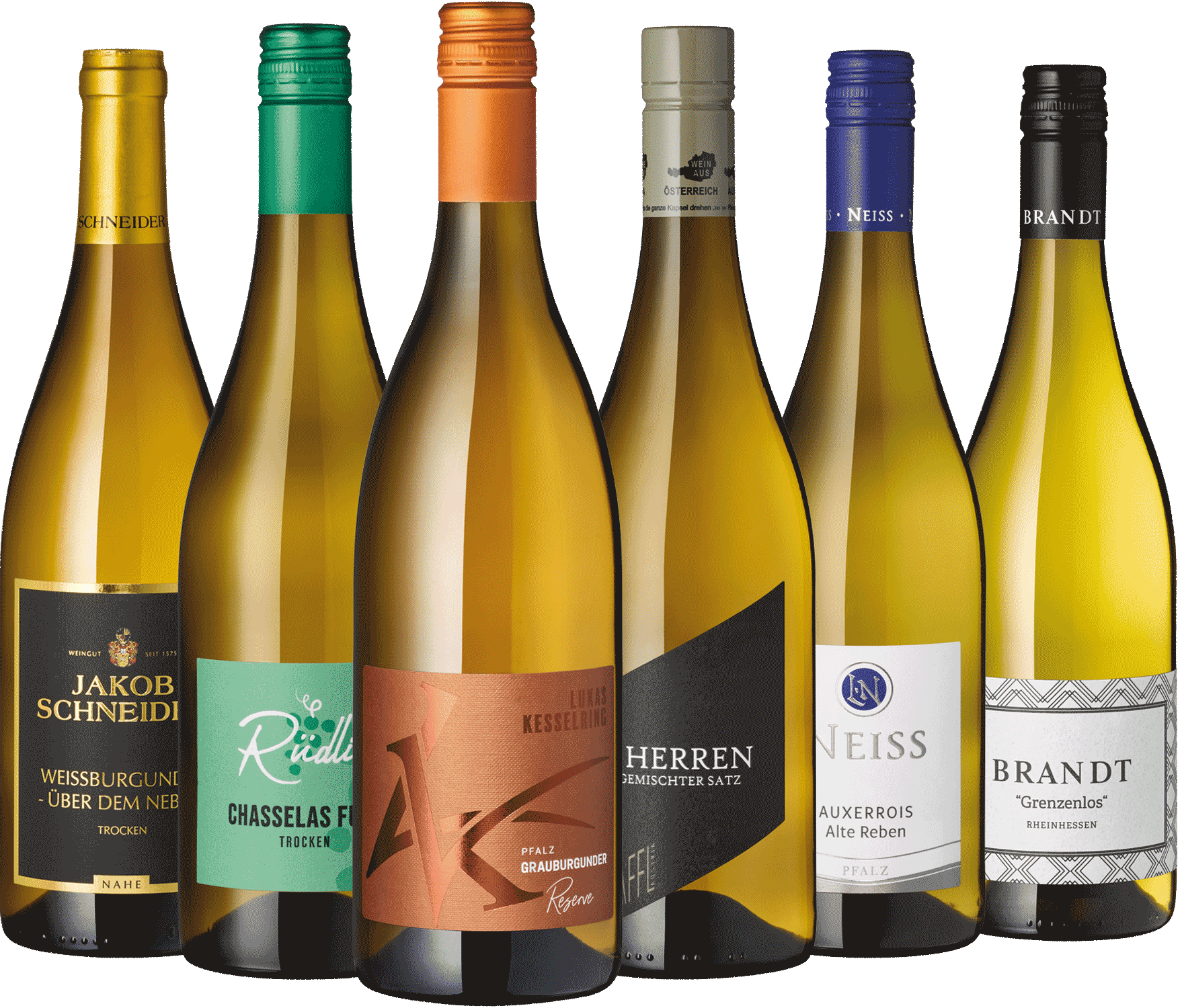 6er Weißwein Entdecker Dezember 2025